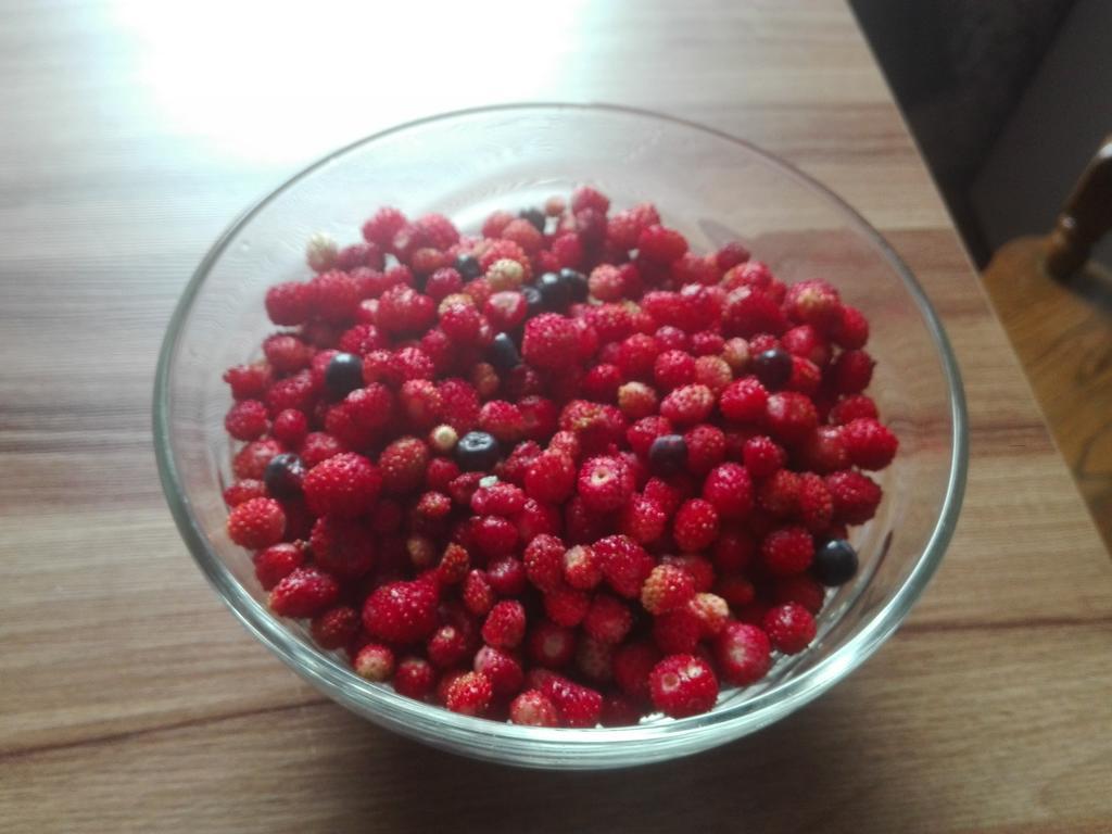 Agro-Tur Domki W Szuwarach Kuty 외부 사진